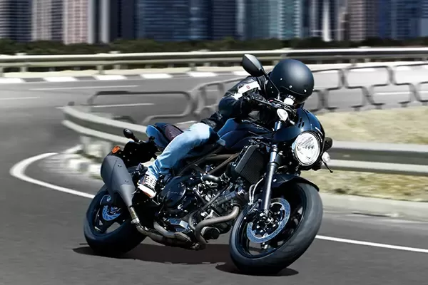 SUZUKI SV650X
